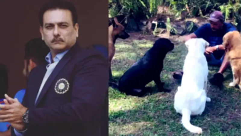 Ravi Shastri's Alibag Farmhouse: A Coastal Haven with Pool, Bar, and Open Spaces
