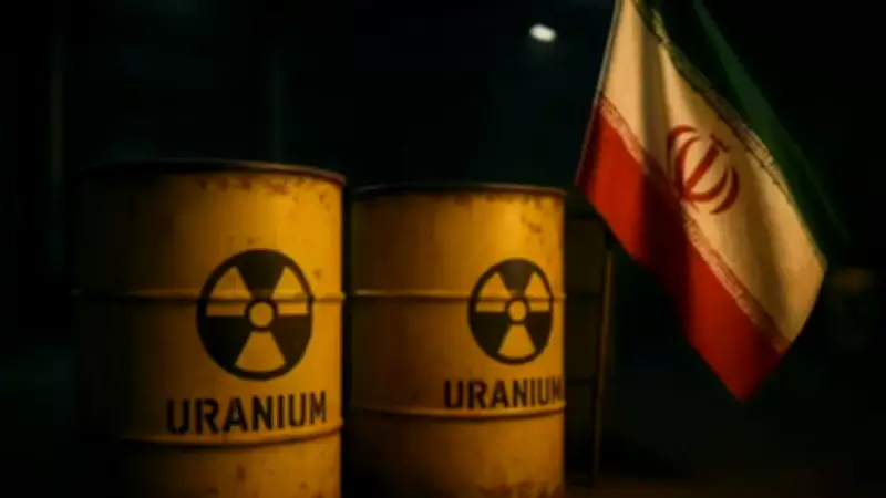 Russia Offers to Host Iran's Enriched Uranium in Potential US Peace Deal