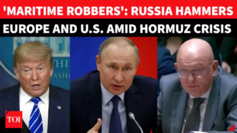 Russia Slams West as 'Pirates' at UN Over Iran Hormuz Blockade