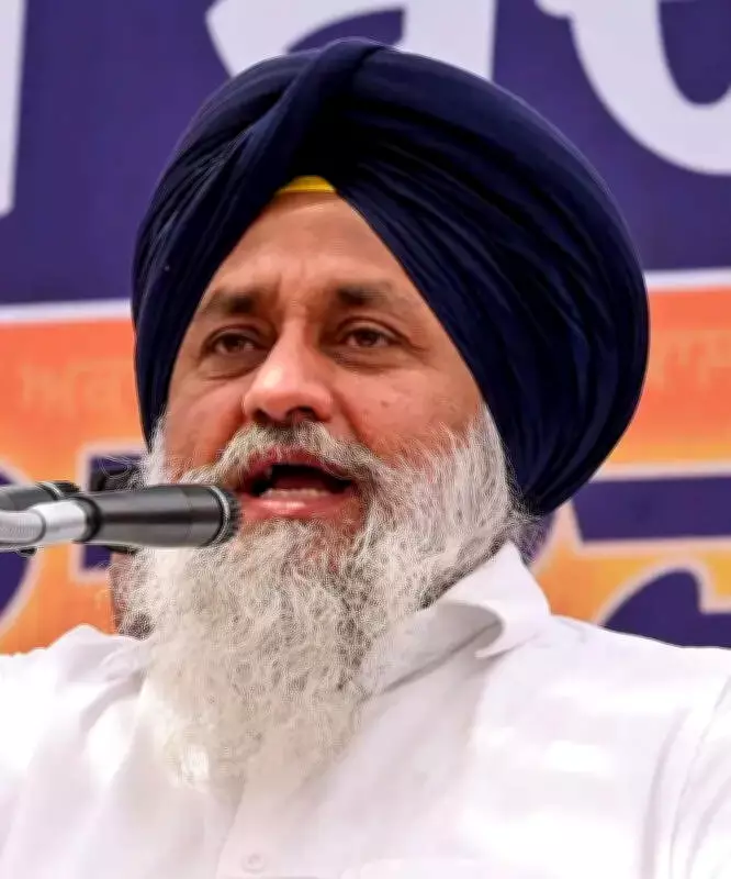 SAD Chief Sukhbir Badal Slams Punjab Govt Over Wheat Procurement Delays
