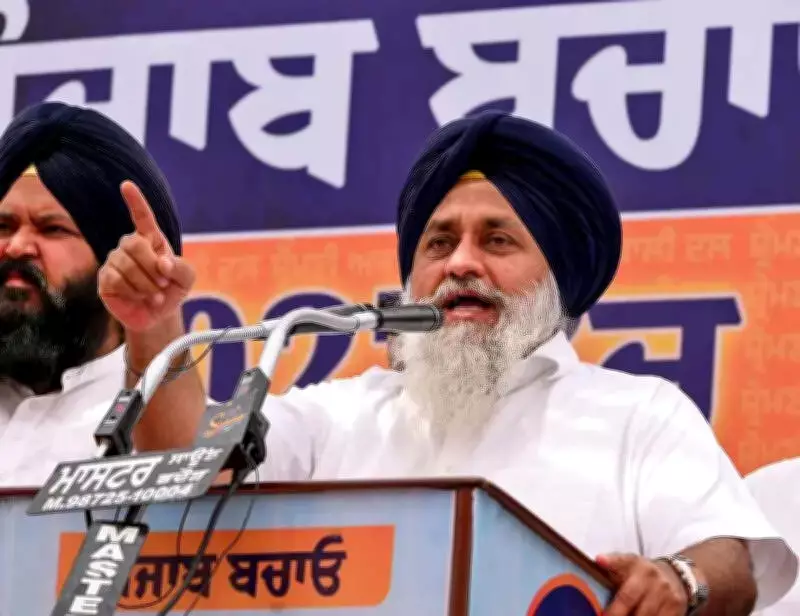 SAD Mobilizes Support for Punjab Farmers After Unseasonal Rain Damage