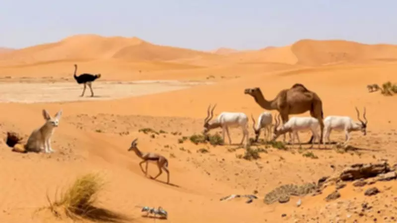 Sahara Desert: A Thriving Ecosystem of Remarkably Adapted Wildlife