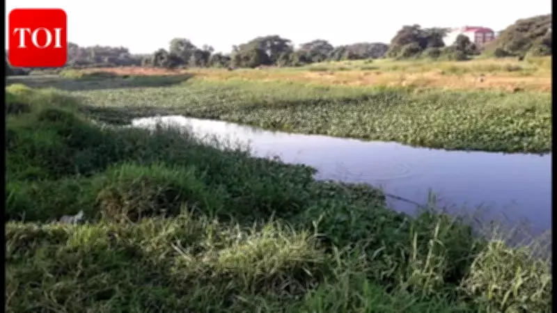 Sal River Crisis: Zero Oxygen Levels and Citizen Outcry Demand Immediate Action