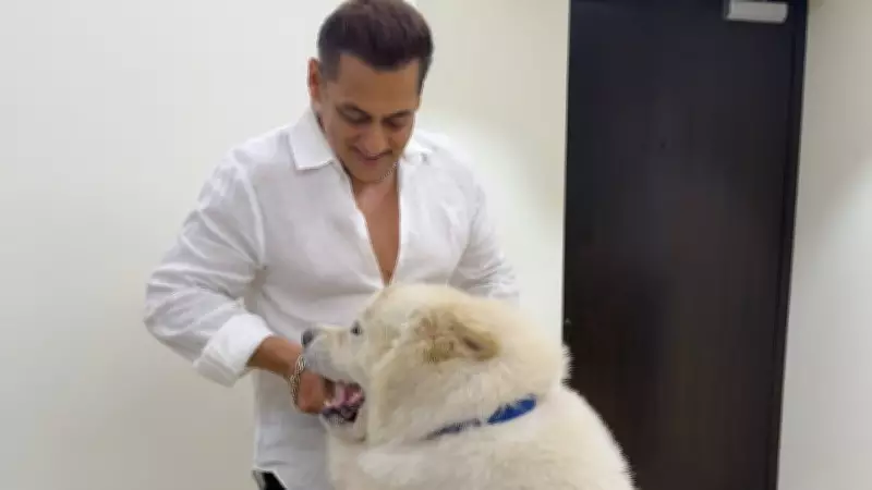 Salman Khan's Heartwarming Bond with Pet Dog My Sukh Captivates Fans