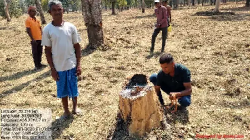 Satellite Images Reveal Massive Encroachment in Chhattisgarh Tiger Reserve