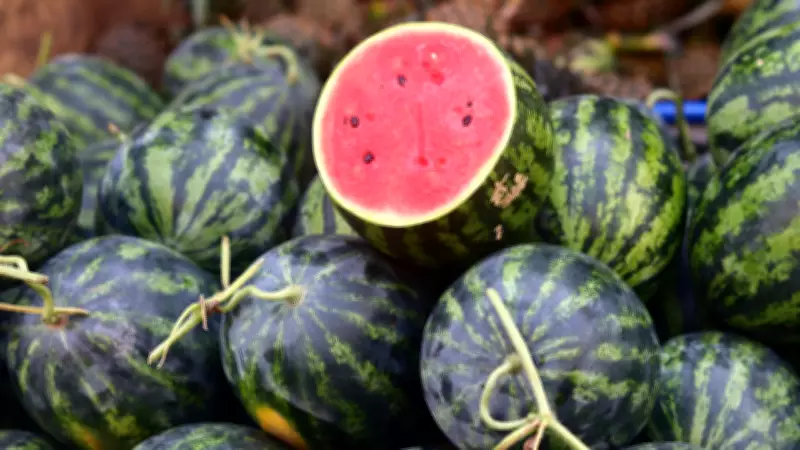 Science Hack: Chill Watermelon in 10 Minutes Without a Fridge