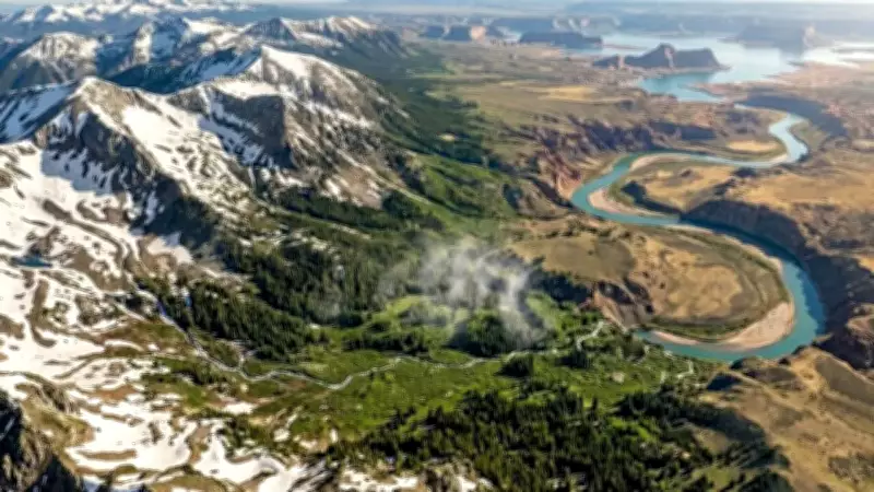 Scientists Uncover Why Colorado River Water Vanishes, Blaming Thirsty Plants