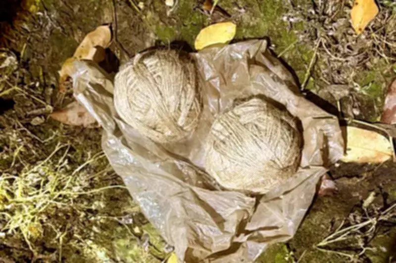 Scooter-Borne Attackers Target BRABU VC's Residence with Sutli Bomb in Muzaffarpur