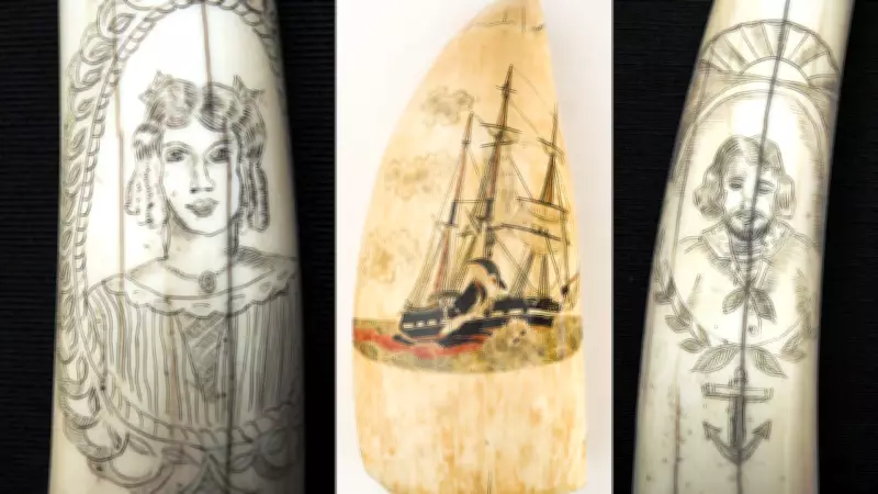 Scrimshaw: Maritime Art of Sailors Carved on Whale Bones
