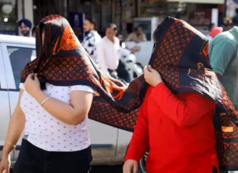 Severe Heatwave Hits Punjab and Haryana, Yellow Alert Issued