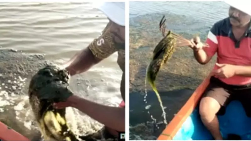 Sewage Pollution Endangers DPS Flamingo Lake in Navi Mumbai