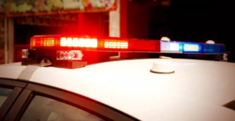 Shimla Police Arrests Key Drug Supplier from Haryana in Major Crackdown