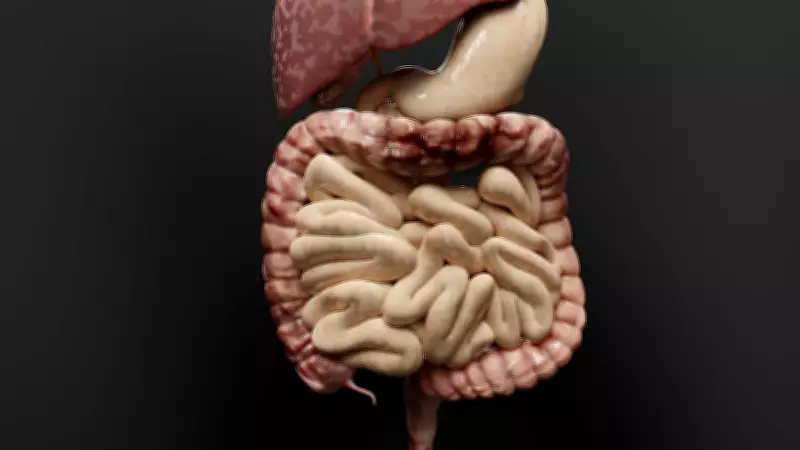 Shy Bowel Syndrome: The Hidden Struggle of Being Unable to Poop Away From Home