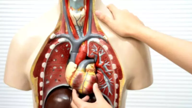 Silent Body Signals: How to Spot Organ Stress Before Pain Strikes