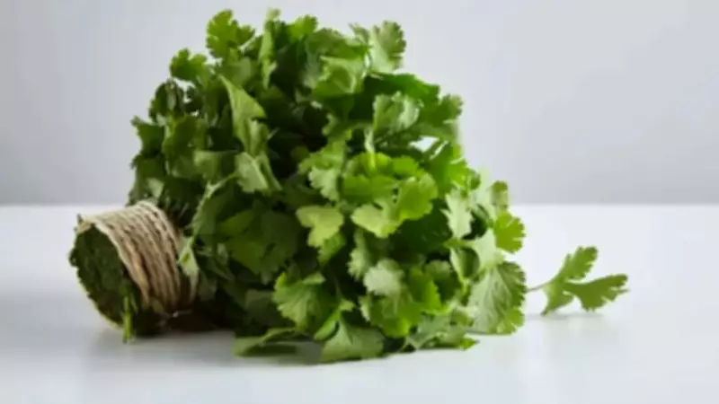 Simple Tricks to Keep Coriander Fresh for a Week or More
