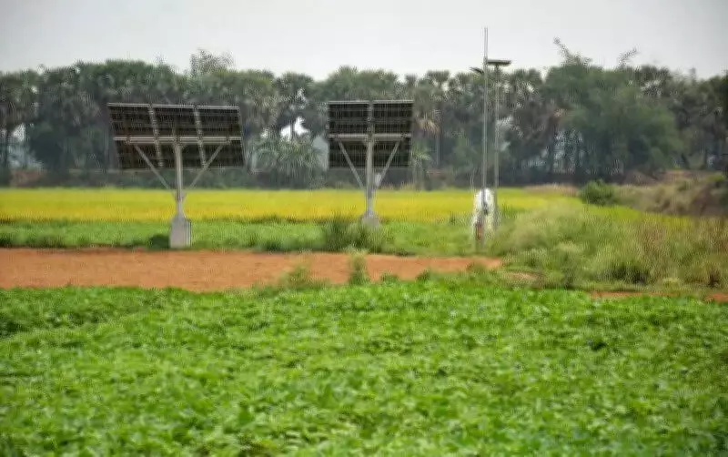 Singur Votes: TMC Touts Agro-Park, BJP Promises Industry Revival