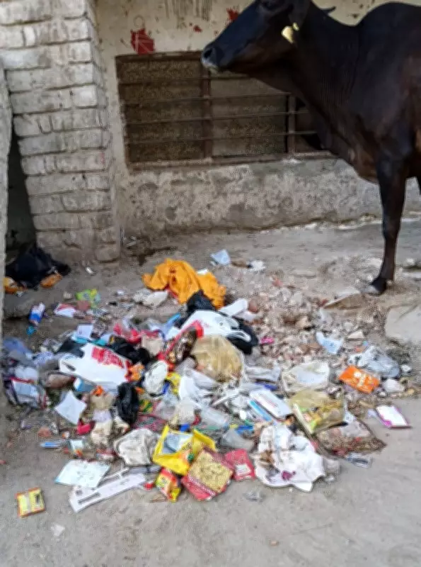 Sirsa Municipal Corporation Issues Notice to Private Agency for Poor Sanitation