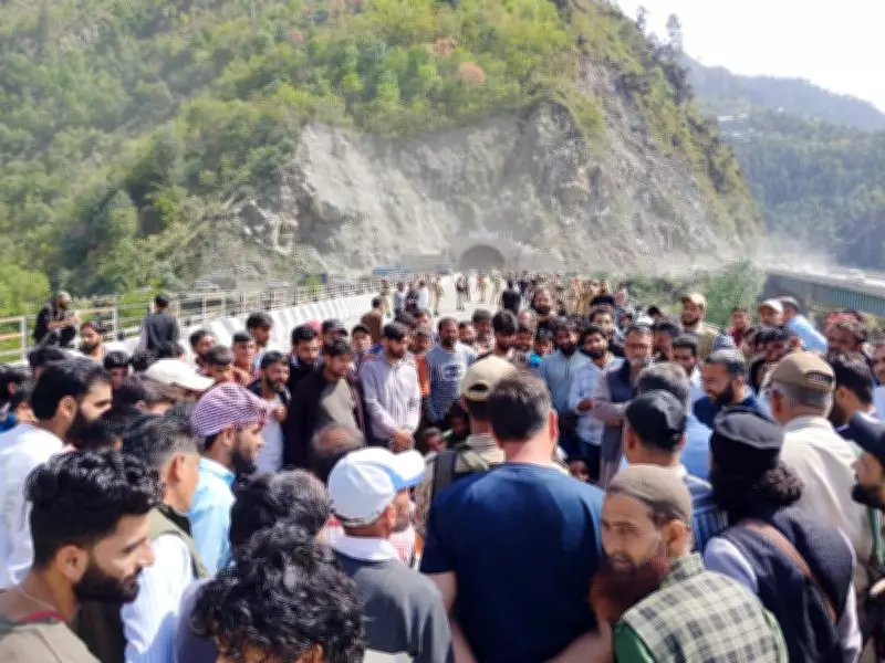 SIT Formed to Probe Cow Vigilante Assault in Jammu and Kashmir, NH Blocked Amid Protests