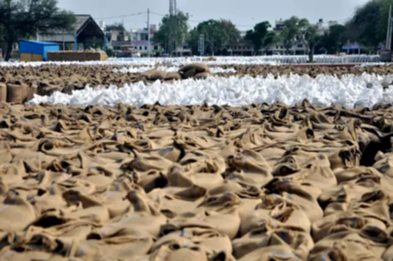 Slow Wheat Lifting Clogs Grain Markets in Panipat, Sonepat