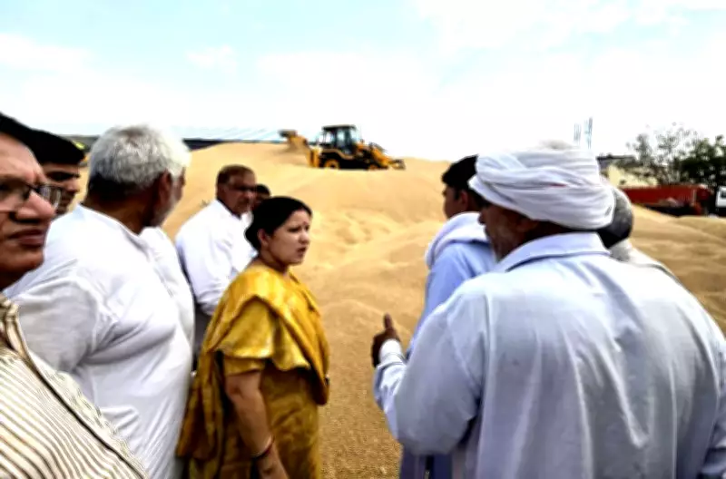 Slow Wheat Lifting in Jhajjar Mandis Amid Heavy Arrivals Draws Criticism