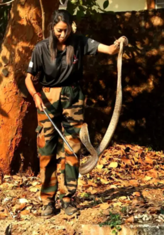 Snake Relocation Surge in Kerala Harms Ecology, Experts Warn