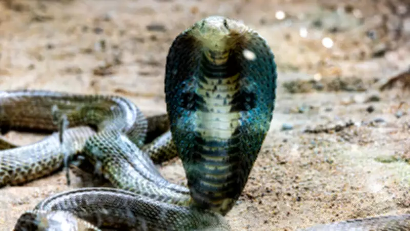 Snakes Defy Gravity: Upright Posture Explained by Smart Muscle Control