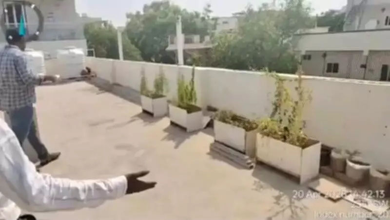 Software Engineer Arrested for Growing Ganja Plants at Hyderabad Home After Job Loss