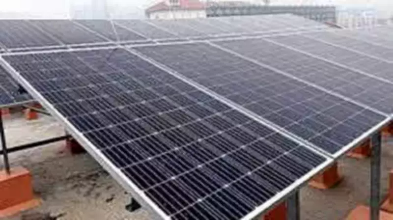 Solar Power Hits Record High in Tamil Nadu, Easing Summer Grid Demand