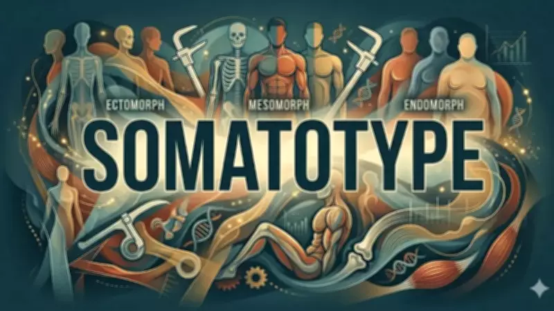 Somatotype Meaning and How It Affects Your Fitness Goals