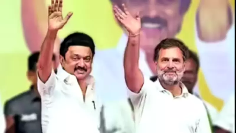 Stalin, Rahul Gandhi Discuss Delimitation, But Joint Campaign Unlikely