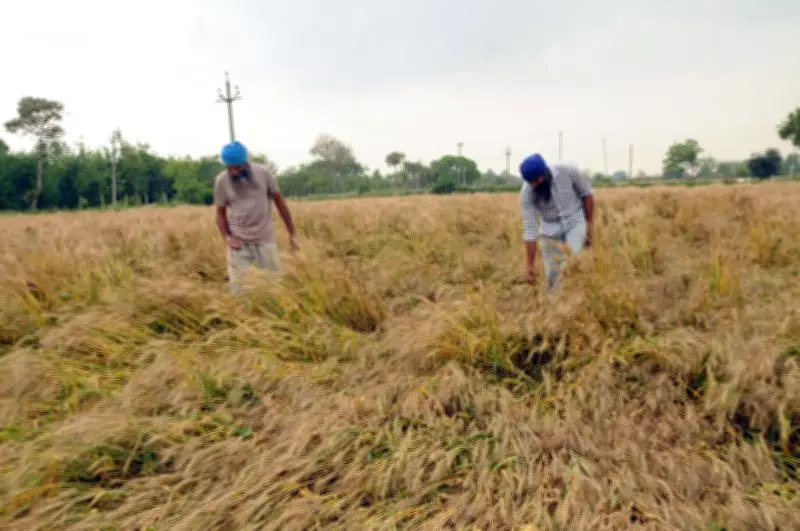 Storm Alert Issued for North India, Punjab Faces Severe Weather Shift