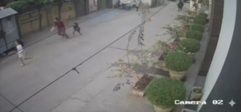 Stray Ox Attacks Family in Faridabad, Woman and Two Daughters Injured