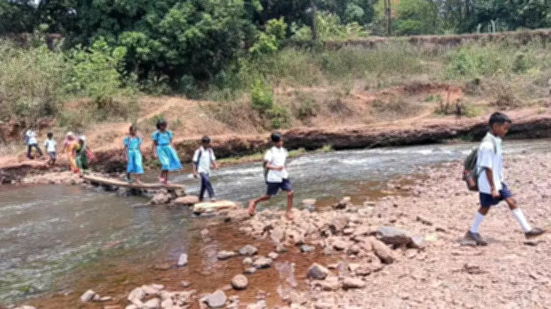 Students Risk Lives Crossing River on Broken Pole Due to Missing Bridge in Keonjhar