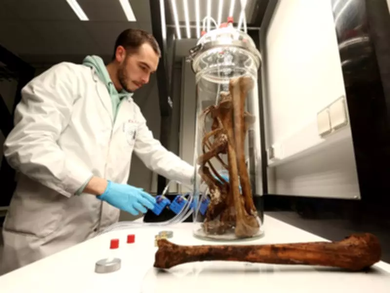 Study Reveals How Bread Consumption Can Lead to Weight Gain Without Extra Calories