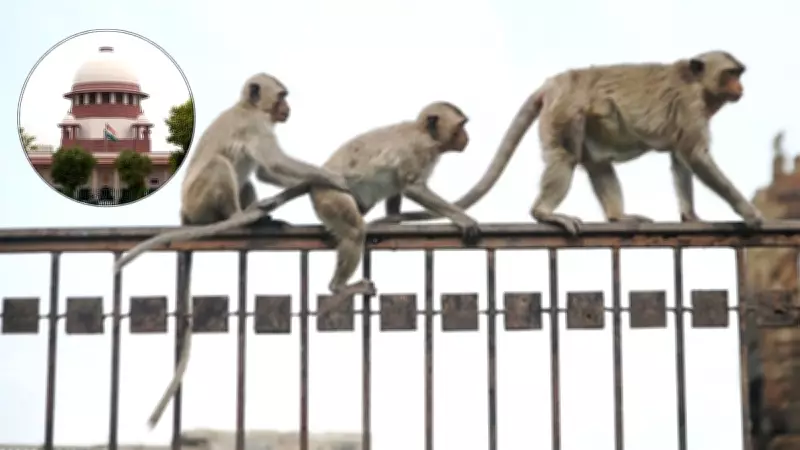 Supreme Court Issues Tender to Tackle Monkey Menace in Judicial Complexes
