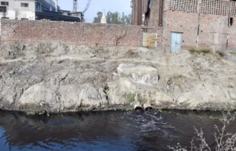 Suspected Dyeing Industry Effluents Found in Fields Near Ludhiana's Tajpur Road