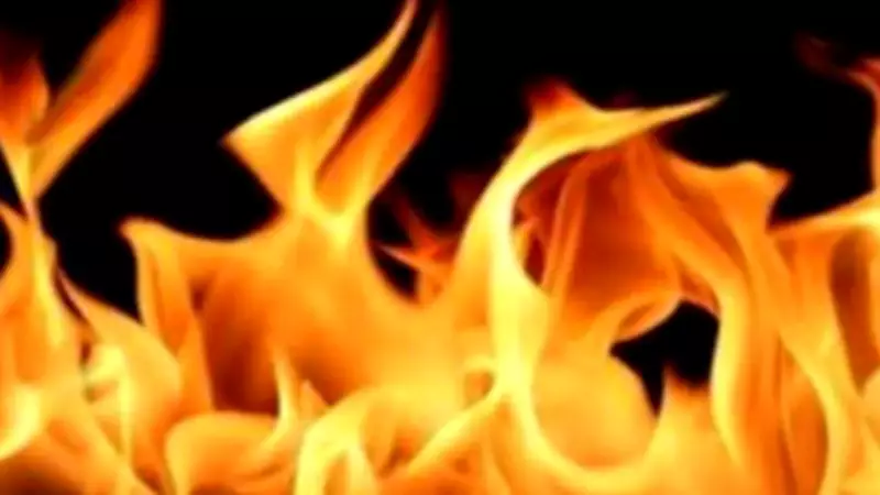 SUV Catches Fire Near Safdarjung Hospital, Two Escape Unharmed in South Delhi