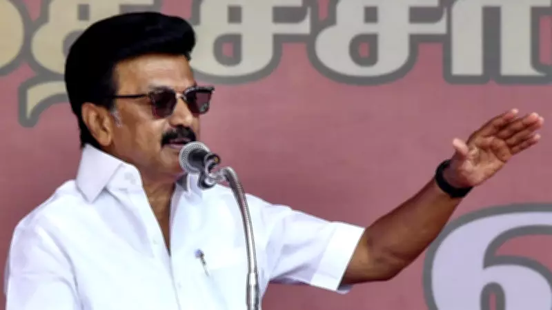 Tamil Nadu CM M K Stalin: 'We Crushed BJP's Attempts to Reduce South's Political Representation'