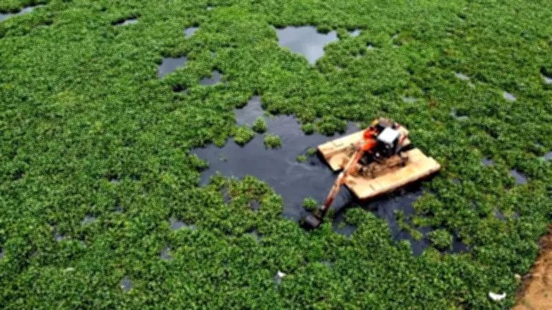 Tamil Nadu's Buckingham Canal Gets Rs 45 Crore Revamp with Green Spaces
