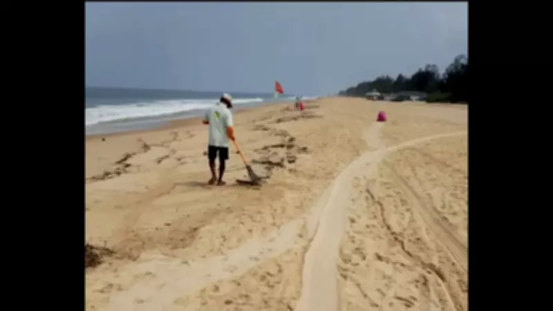 Tar Balls Appear Early on Goa's Salcete Coast, Raising Pollution Concerns