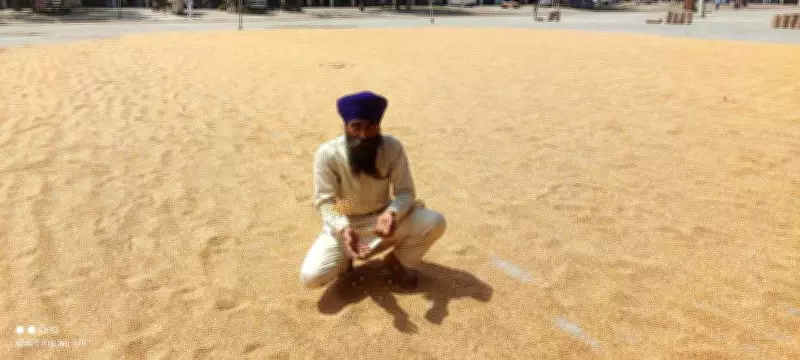 Tarn Taran Farmer's Wheat Sale Halted as Procurement Officials Absent