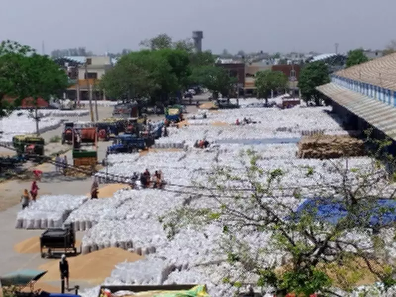 Technical Glitches in Portal Disrupt Farmers' Lifting Arrangements Across Karnal