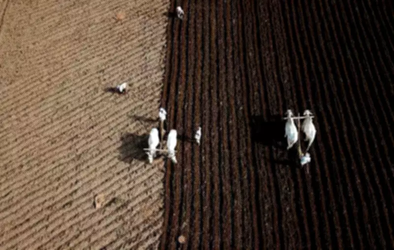 Telangana SEEEPC Survey Reveals Land, Welfare Disparities, Sparks Political Demands