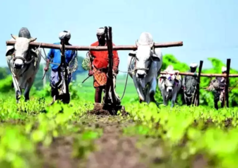 Telangana to Disburse Second Rythu Bharosa Installment on April 20