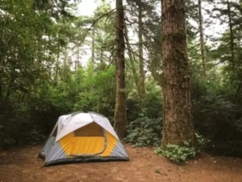 Tent Safety Concerns Rise After US Tourist Assault in Bengaluru