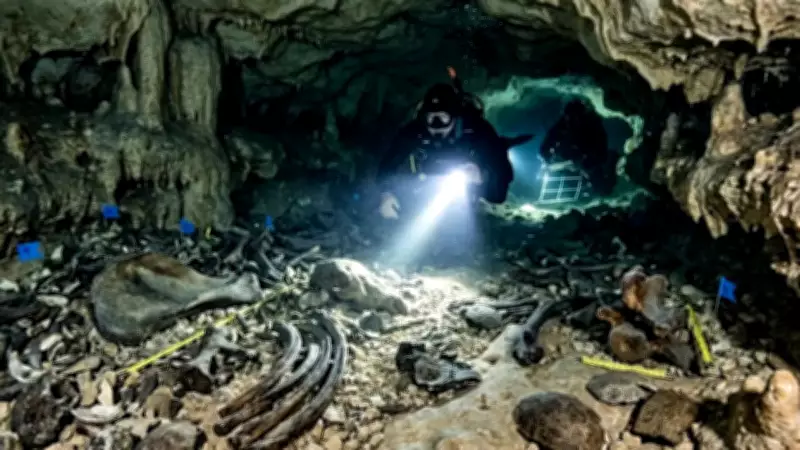 Texas Cave Discovery Reveals Ancient Warm Climate Through Rare Megafauna Fossils