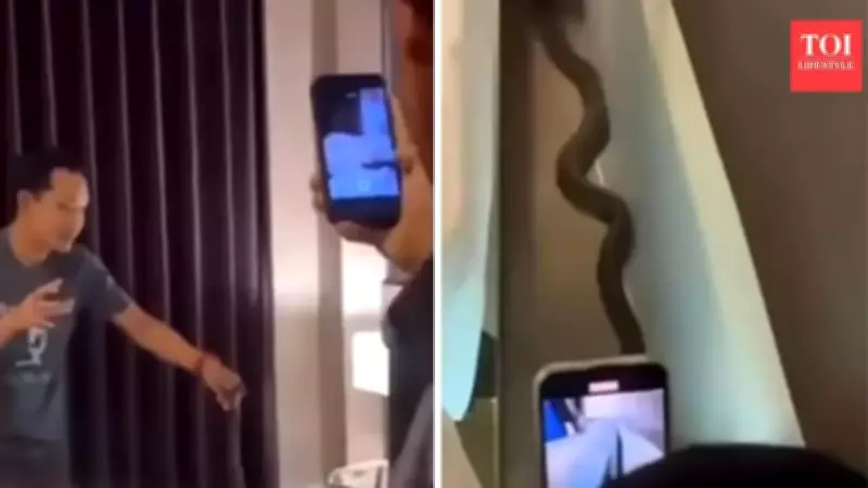 Thai Vacation Horror: Couple Wakes to Cobra Crawling Over Neck in Bed