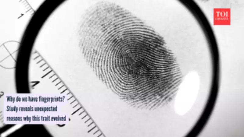 The Evolutionary Mystery of Fingerprints: From Tree Climbing to Biometric Security