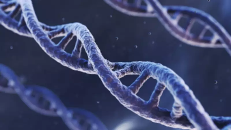 The Genesis of Contention: Unraveling the Roots of Modern Sports Rivalries