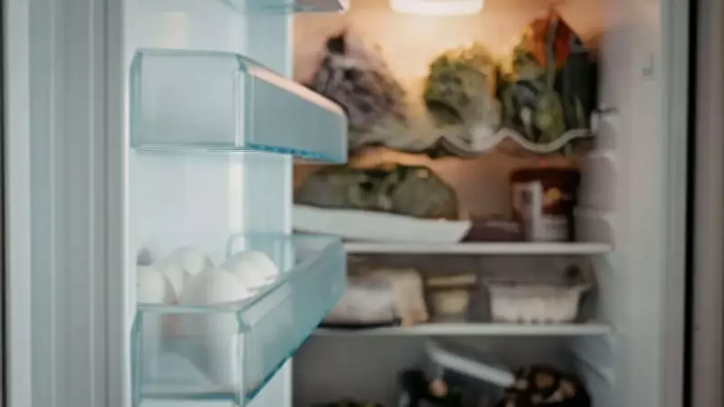 The Hidden Dangers of Leftover Food: A Microbiologist's Warning